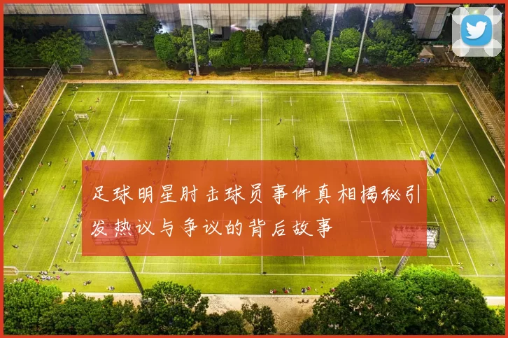 足球明星肘击球员事件真相揭秘引发热议与争议的背后故事
