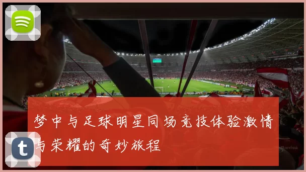 梦中与足球明星同场竞技体验激情与荣耀的奇妙旅程