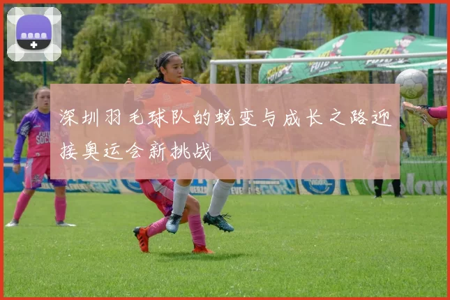 深圳羽毛球队的蜕变与成长之路迎接奥运会新挑战
