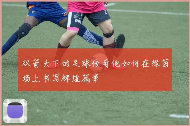 双箭头下的足球传奇他如何在绿茵场上书写辉煌篇章