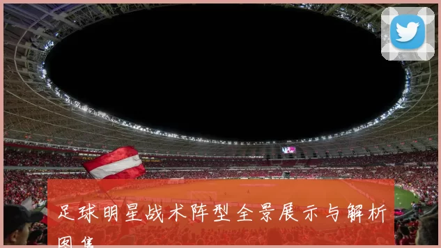 足球明星战术阵型全景展示与解析图集