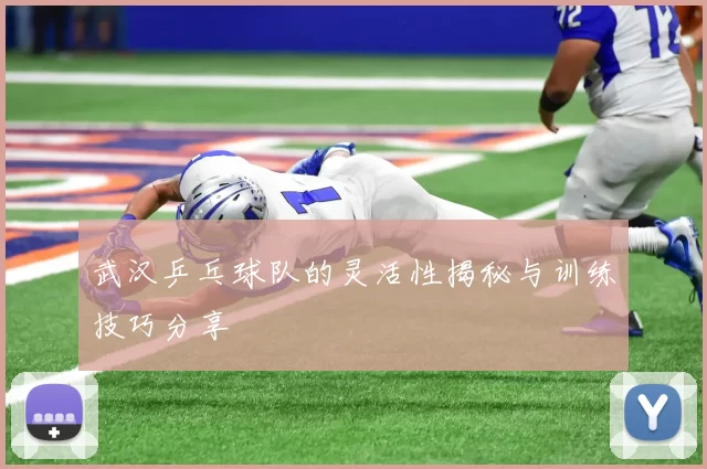 武汉乒乓球队的灵活性揭秘与训练技巧分享