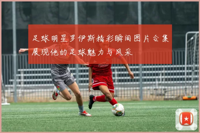 足球明星罗伊斯精彩瞬间图片合集展现他的足球魅力与风采