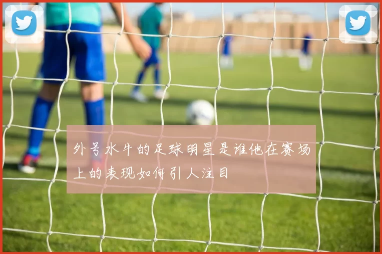 外号水牛的足球明星是谁他在赛场上的表现如何引人注目