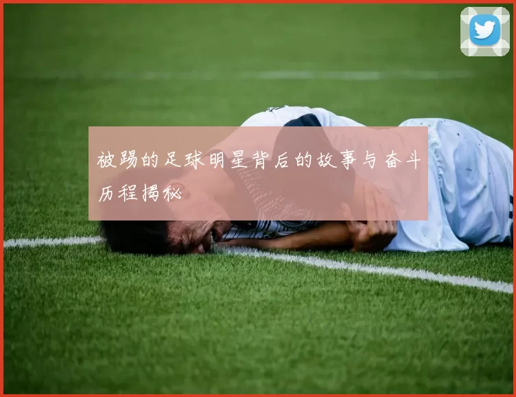 被踢的足球明星背后的故事与奋斗历程揭秘