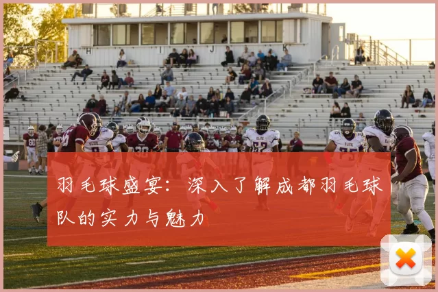 羽毛球盛宴：深入了解成都羽毛球队的实力与魅力