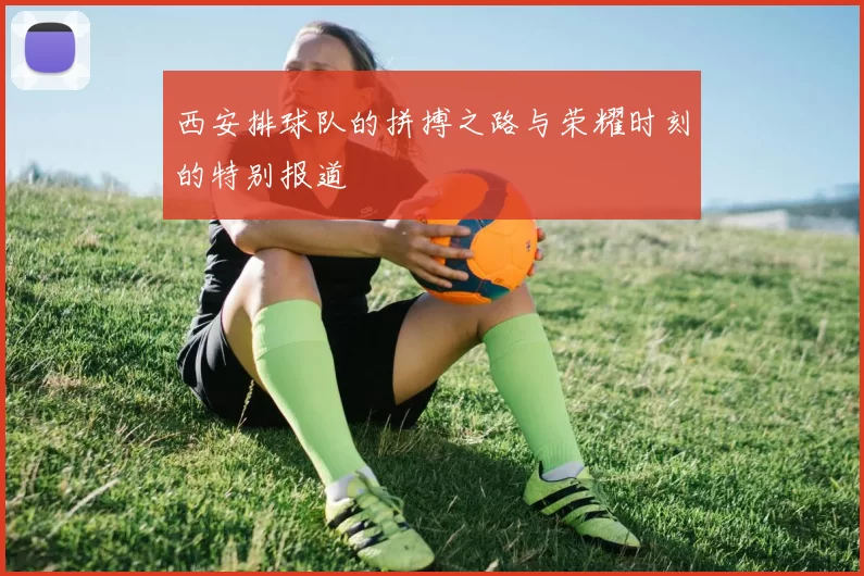 西安排球队的拼搏之路与荣耀时刻的特别报道