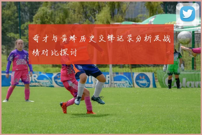 奇才与黄蜂历史交锋记录分析及战绩对比探讨
