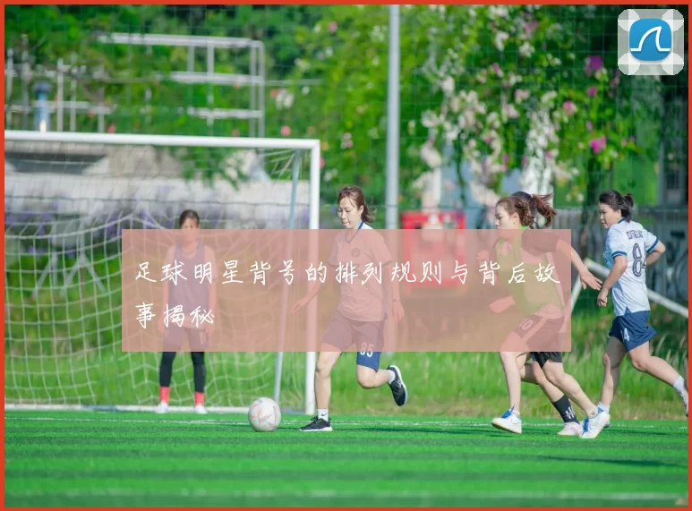 足球明星背号的排列规则与背后故事揭秘