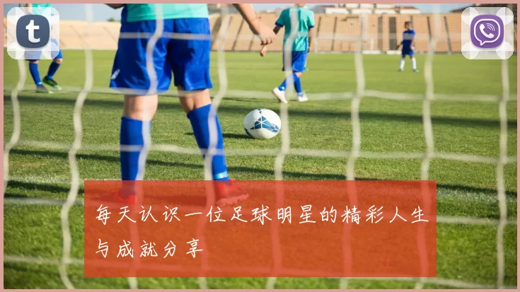 每天认识一位足球明星的精彩人生与成就分享